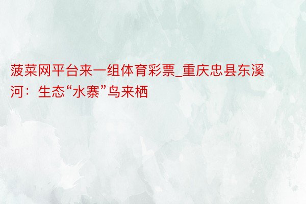 菠菜网平台来一组体育彩票_重庆忠县东溪河：生态“水寨”鸟来栖